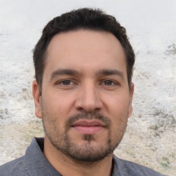 Petar Bozovic